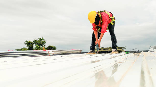 Best Roof Moss and Algae Removal  in Granite Falls, NC